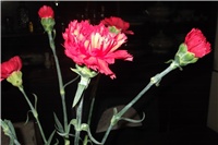 45c3bd22-Picture 021.jpg